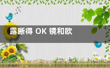 露晰得 OK 镜和欧几里得怎么选？从材质软硬度 / 弧段设计 / 价格区间对比